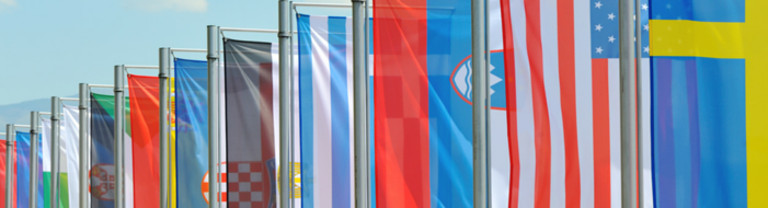 Standing_Flags